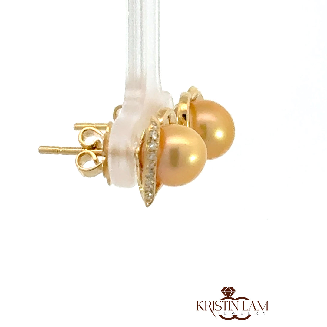 BKL-00341