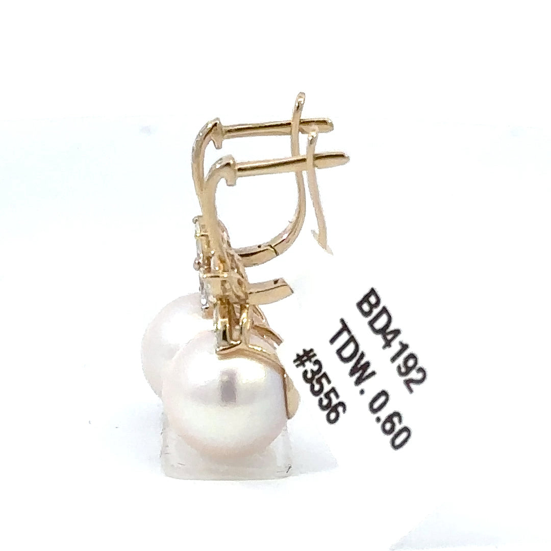 BD4192